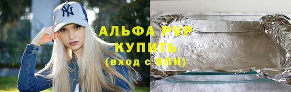 дживик Белокуриха