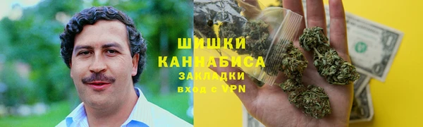 дживик Белокуриха