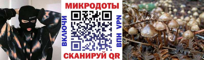 Галлюциногенные грибы Cubensis  Купить закладки  Вельск 